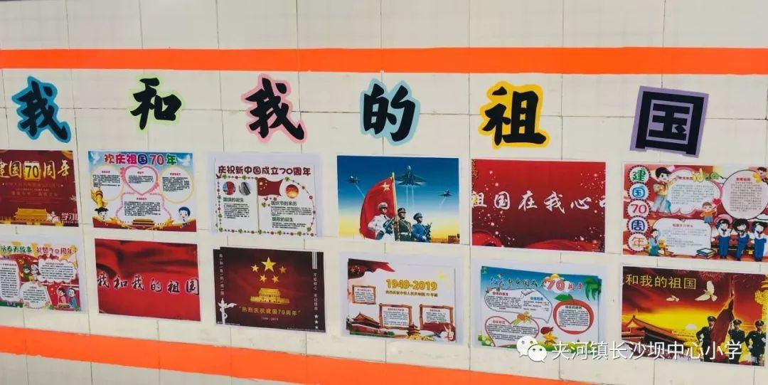 蓝狐视频